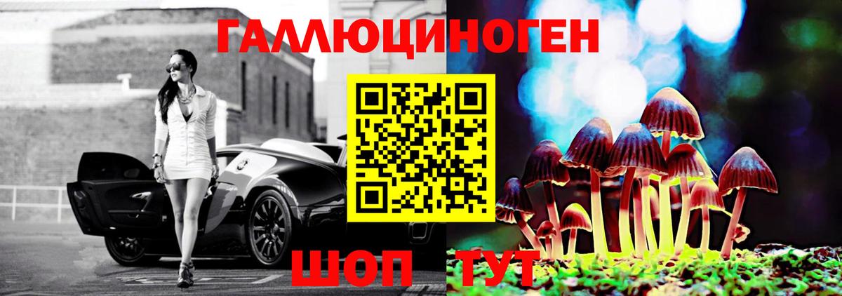 где можно купить наркотик  Галлюциногенные грибы прущие грибы  Вход с VPN  Кизилюрт 
